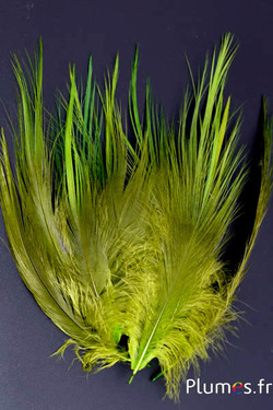 Grue - 12-14 cm - lime